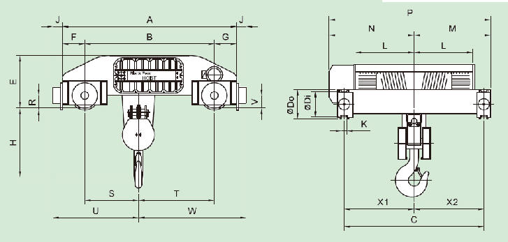 sugi-02.jpg